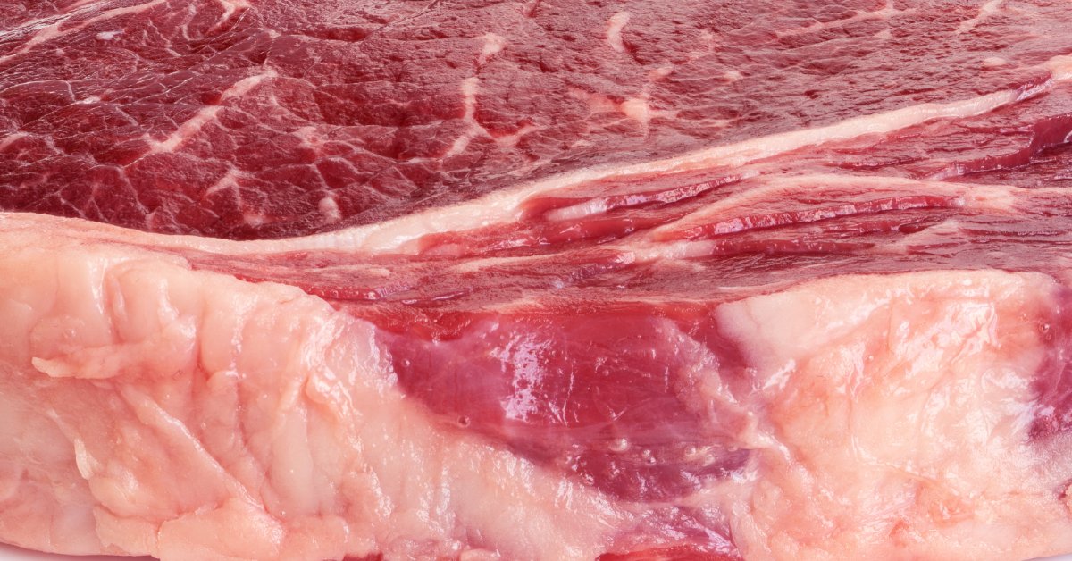 close up of a ribeye steak
